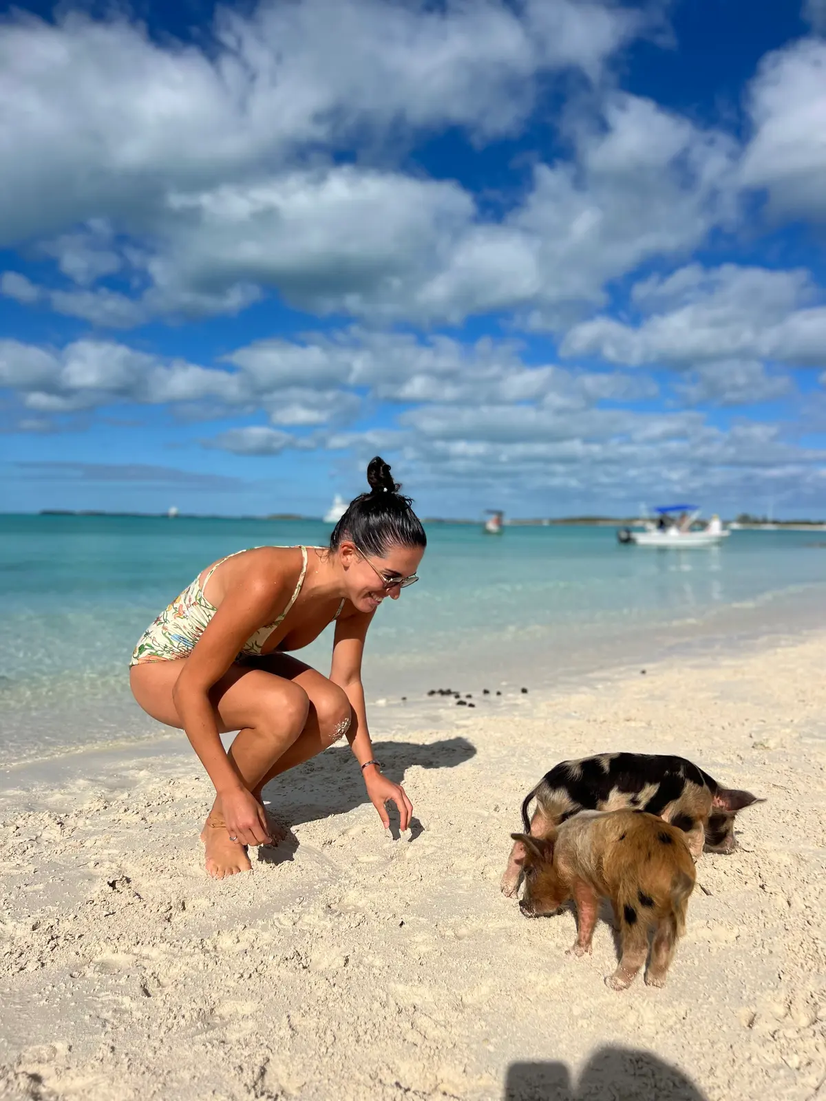 The pigs on the sand at Big Major with the tender behind