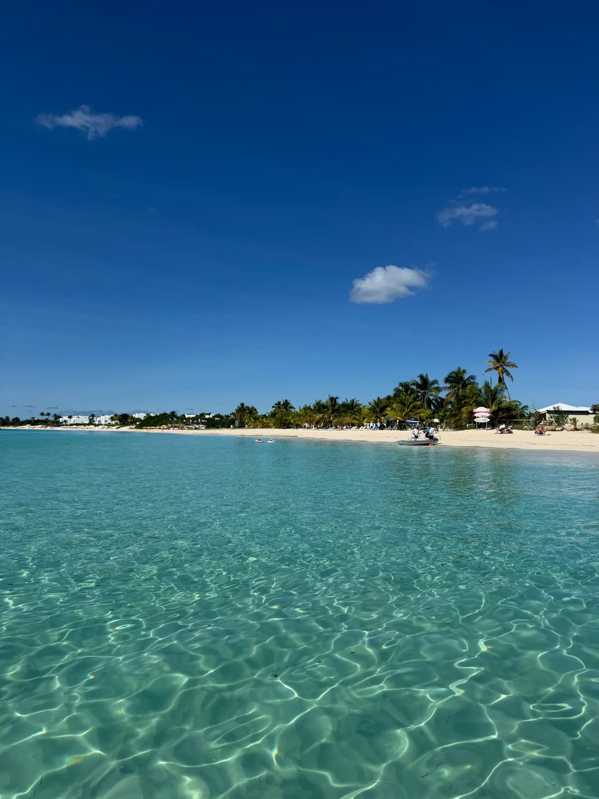Clear water and a palm-lined beach in Anguilla