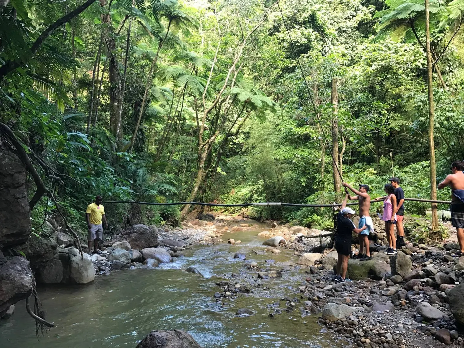 The group crossing a river on a rainforest trail in Dominica, the guide ahead