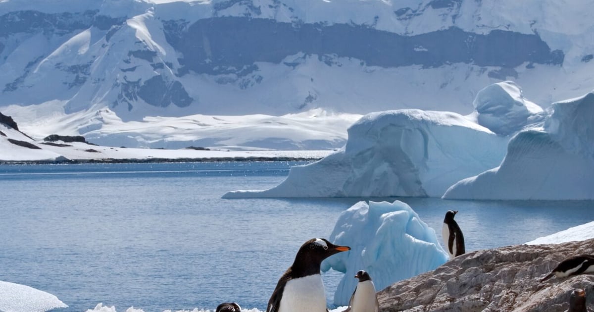 Yacht Charters Antarctica, Yacht Hire, Yacht Rentals | Ahoy Club