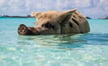 YACHT CHARTERS EXUMAS, YACHT HIRE, YACHT RENTALS itineraries