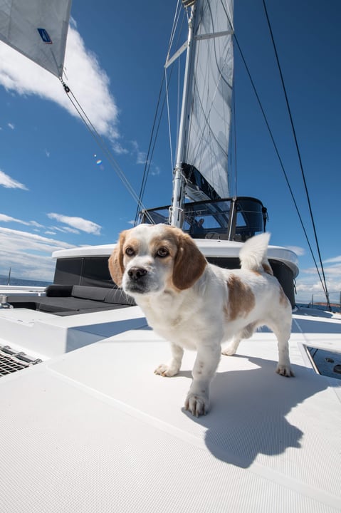 yacht image