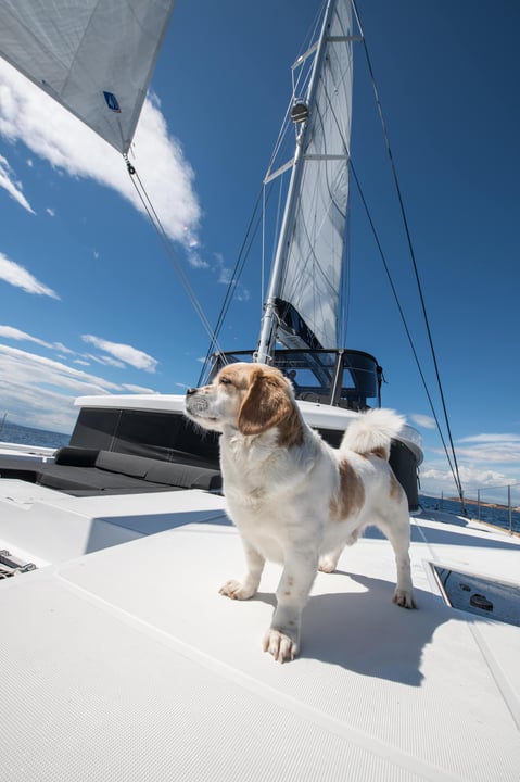 yacht image