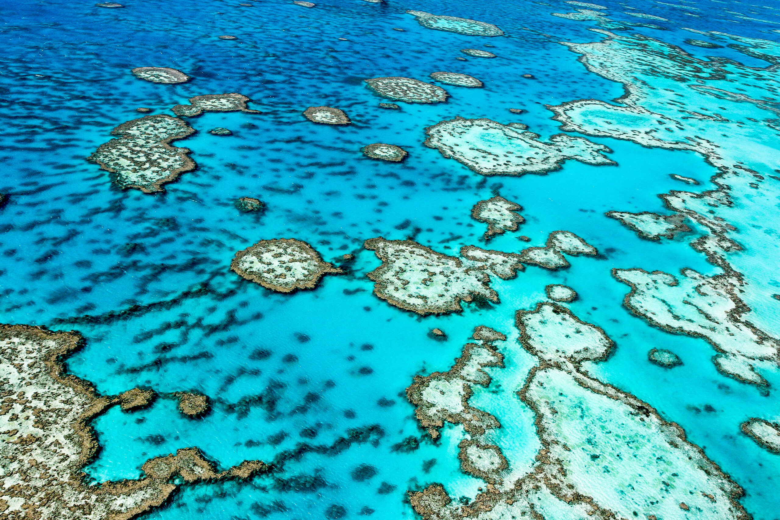 YACHT CHARTERS AUSTRALIA