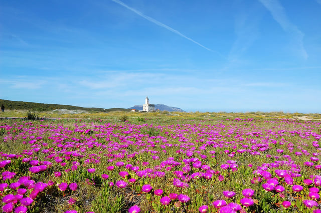 Lighthouse of Olbia - Spring in Sardinia