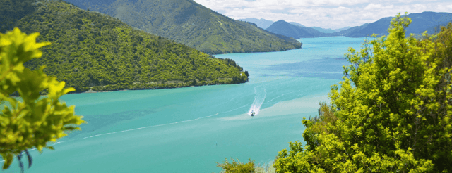 9 Reasons to Visit the Bay of Islands in 2022 | Yacht Charter New Zealand