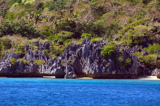 Limestone formations and coconut palms, Sawa-i-Lau Island, Fiji