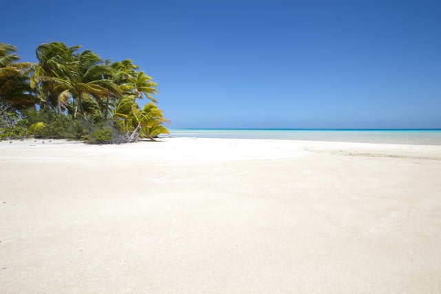 White sand beach front of palm tree and blue lagoon