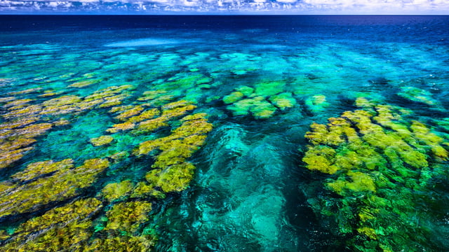 Tropical coral reef in Apia