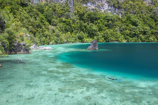 Man snorkeling in Port Morseby