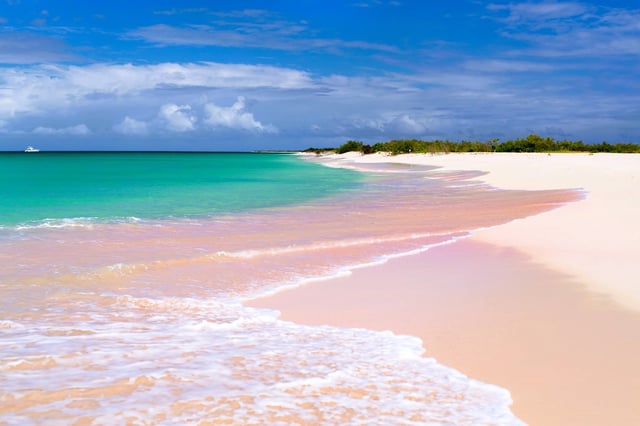 Idyllic tropical beach on Barbuda island in Caribbean with pink sand, turquoise ocean water