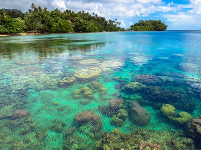 Corals under the crystal-clear waters of Tufi