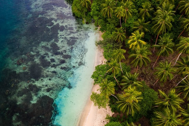 Areial view of a beach and palm trees in Papua New Guinea