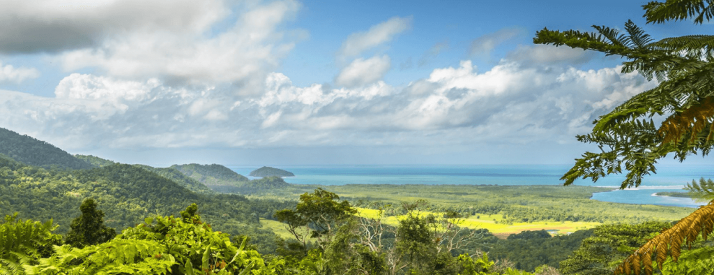 Daintree forest explore the best of cairns luxury yacht charter