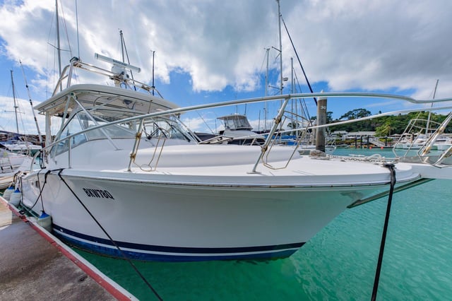 2008 Luhrs 31 Open